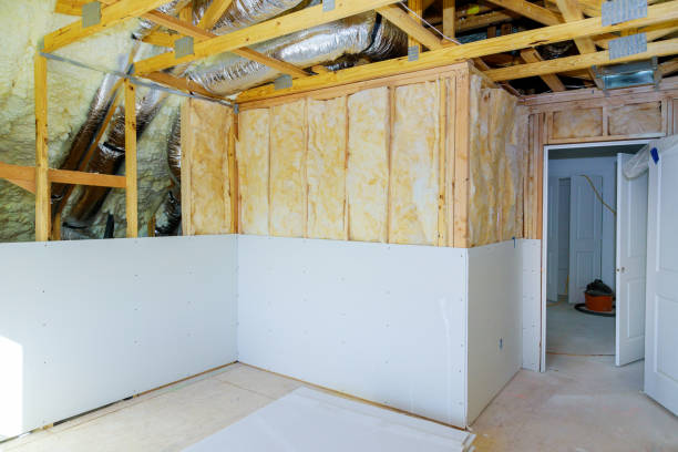 Professional Insulation Contractor in Maple Grove, MN