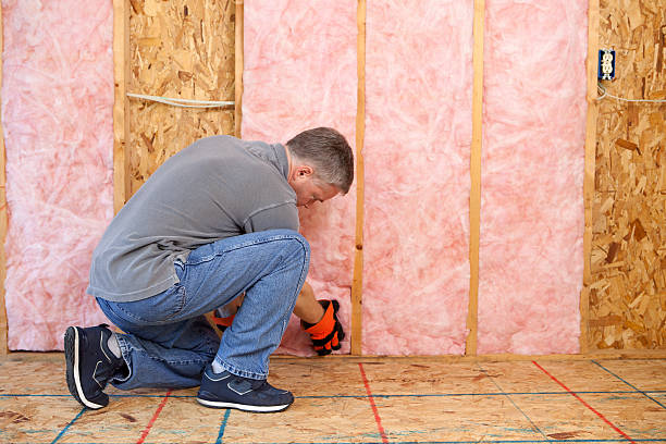 Best Specialized Insulation Services in Maple Grove, MN